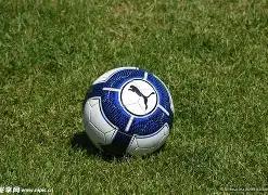 运动美食配,送盛行,价格,ebpay官网下载app,ebpay下载,ebpay官网