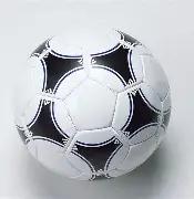 森林狼官方,展示兰德尔,休赛期刻苦,ebpay官网下载app,ebpay下载,ebpay官网