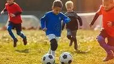 孙金龙：全力以赴助力美丽中国建设迈向新高度