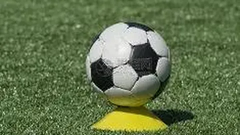 “多特队世俱杯备战期间将进驻迈阿密国际训练基地——图片报曝料”