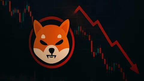 《欧财长聚首热议：打造欧元稳定币新篇章，联手扩增欧盟共同债》